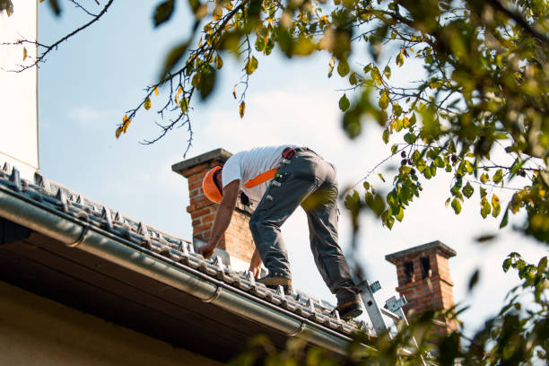 Best Flat Roof Repair Services  in Seymour, WI