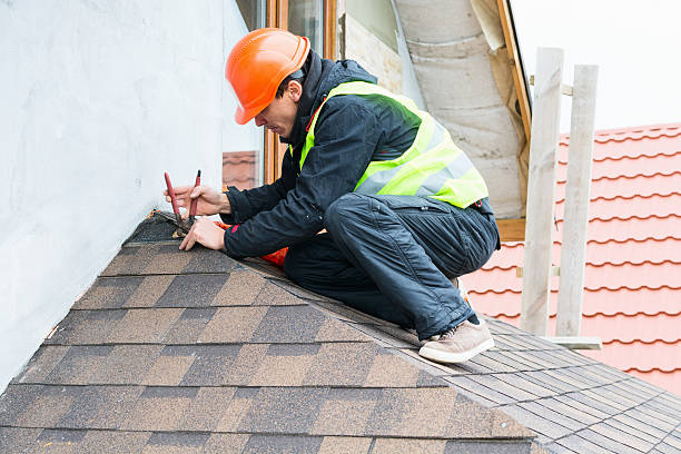 Best Roof Gutter Cleaning  in Seymour, WI